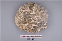 藏品(牡蠣)的圖片